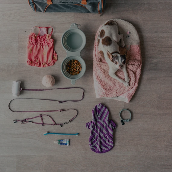 dorekia martin v4 prebuilt 