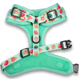 Sweet Treats Dog Harness & Leash Set