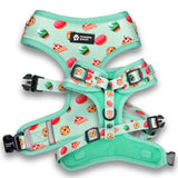 Sweet Treats Dog Harness & Leash Set