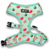 Sweet Treats Dog Harness & Leash Set